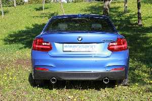 Eisenmann Endschalldämpfer Edelstahl Duplex (links/rechts) passend für BMW F22