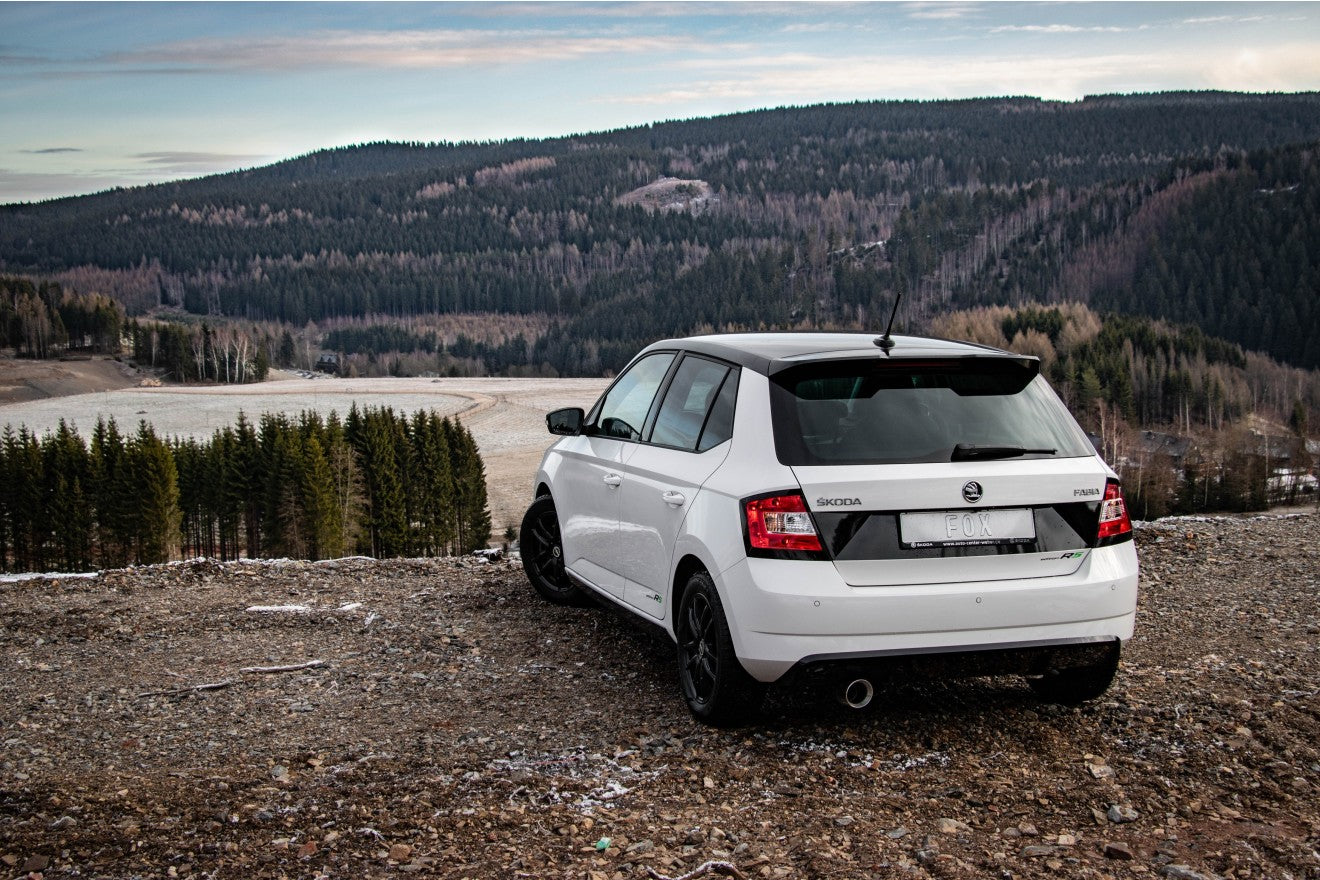 Fox Auspuff Sportauspuff Endschalldämpfer für Skoda Fabia NJ R5 Edition 1,4 92kW