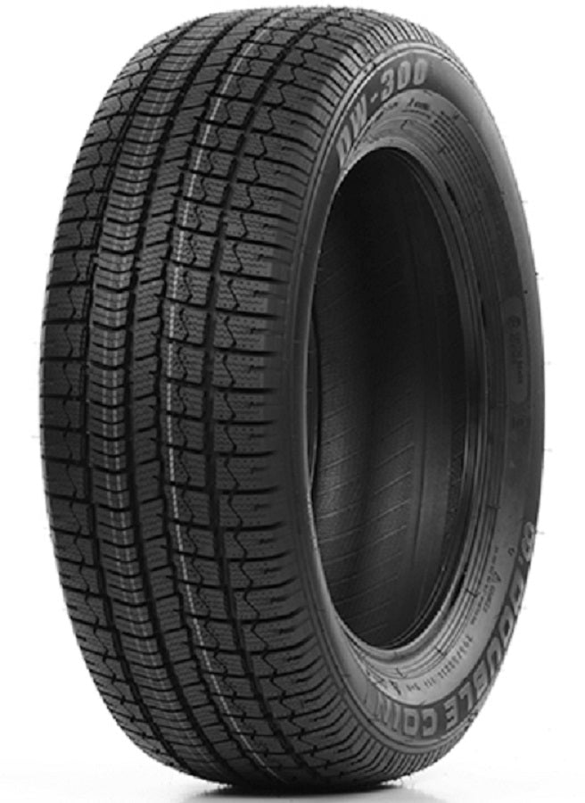 Double Coin Winterreifen					DW 300 TL XL 3PMSF
					
						225/45R18 95V