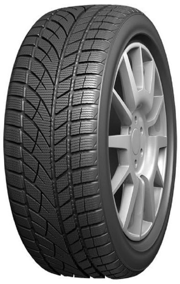 Evergreen Winterreifen					EW66 
					
						225/55R17 97H