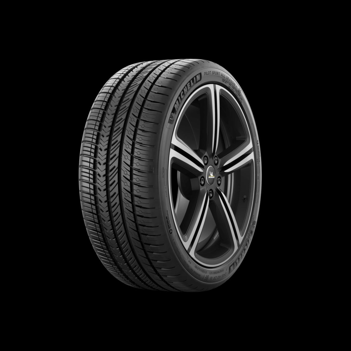 Michelin Sommerreifen					Pilot Sport A/S 4 XL BSW M+S
					
						255/45R21 106V
