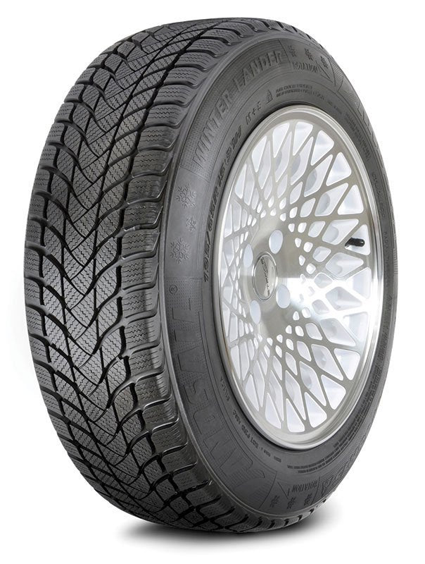 LandsailWinterreifen					Winter Lander 3PMSF
					
						185/60R14 82T